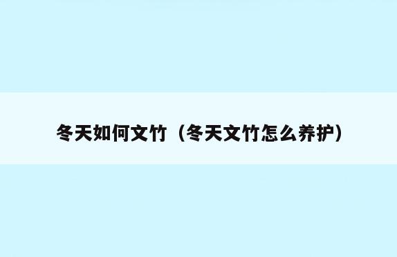 冬天如何文竹(冬天文竹怎么养护)