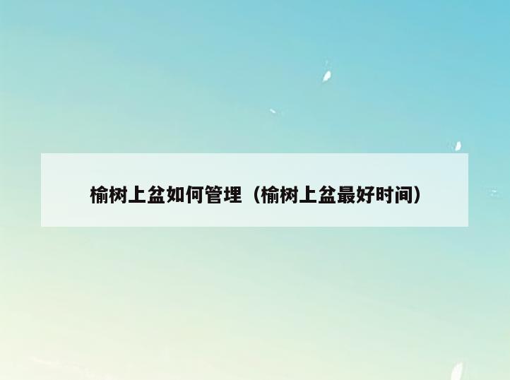 榆树上盆如何管埋(榆树上盆最好时间)