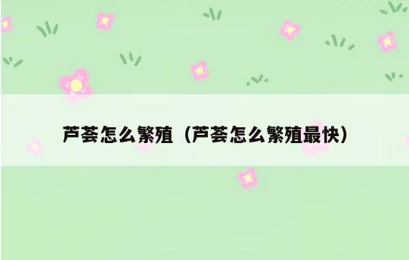芦荟怎么繁殖(芦荟怎么繁殖最快)