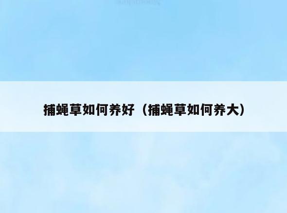 捕蝇草如何养好(捕蝇草如何养大)