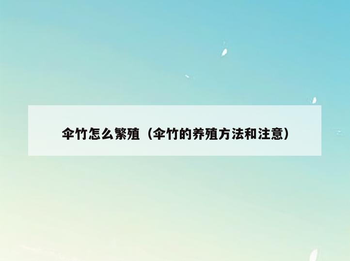 伞竹怎么繁殖(伞竹的养殖方法和注意)