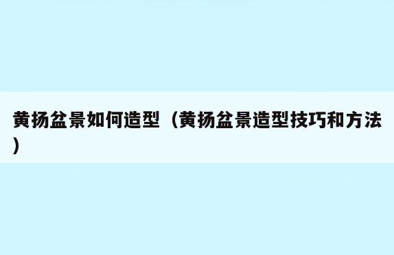 黄扬盆景如何造型(黄扬盆景造型技巧和方法)