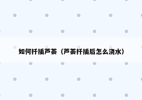 如何扦插芦荟(芦荟扦插后怎么浇水)
