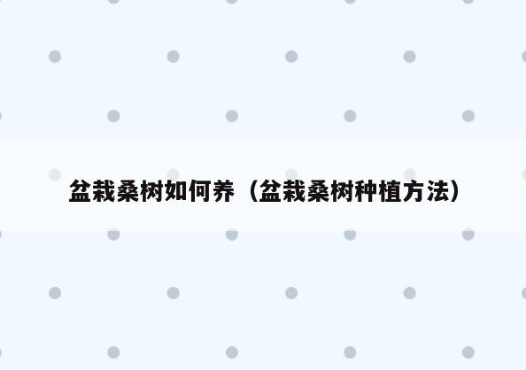 盆栽桑树如何养(盆栽桑树种植方法)