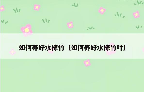 如何养好水棕竹(如何养好水棕竹叶)
