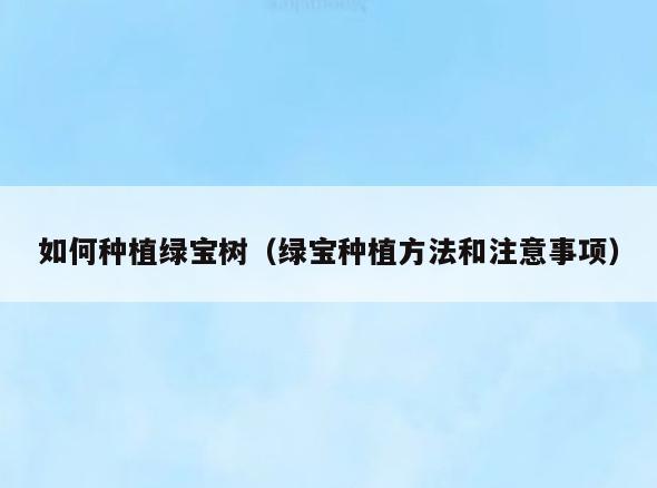 如何种植绿宝树(绿宝种植方法和注意事项)