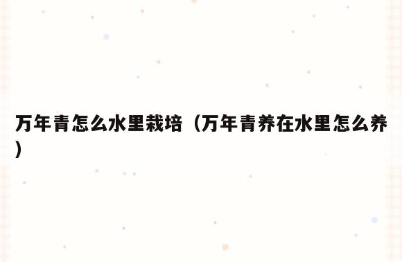 万年青怎么水里栽培(万年青养在水里怎么养)
