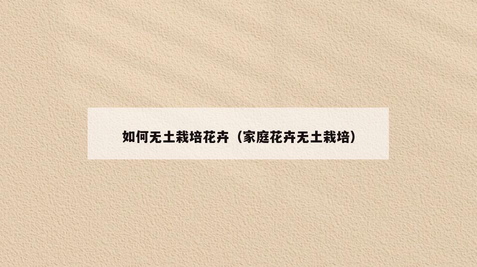 如何无土栽培花卉(家庭花卉无土栽培)
