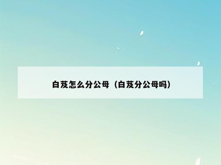 白芨怎么分公母(白芨分公母吗)