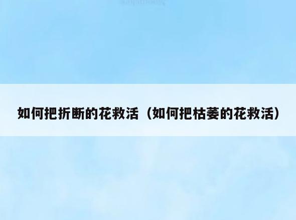 如何把折断的花救活(如何把枯萎的花救活)