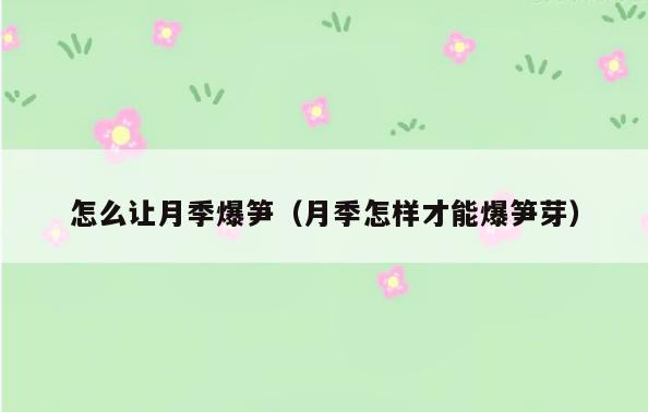 怎么让月季爆笋(月季怎样才能爆笋芽)