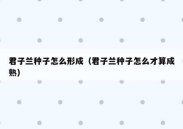 君子兰种子怎么形成(君子兰种子怎么才算成熟)