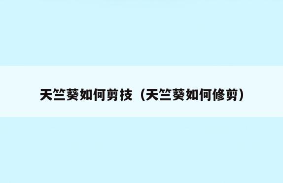 天竺葵如何剪技(天竺葵如何修剪)