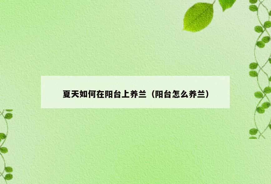 夏天如何在阳台上养兰(阳台怎么养兰)