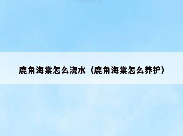 鹿角海棠怎么浇水(鹿角海棠怎么养护)