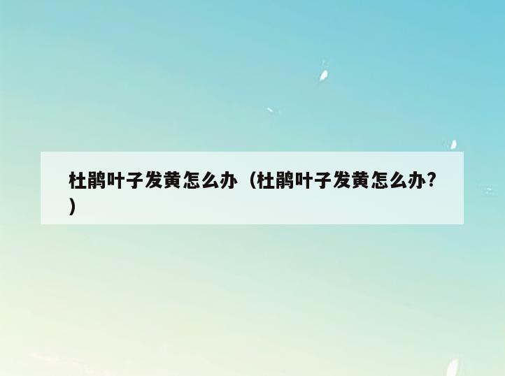 杜鹃叶子发黄怎么办(杜鹃叶子发黄怎么办?)