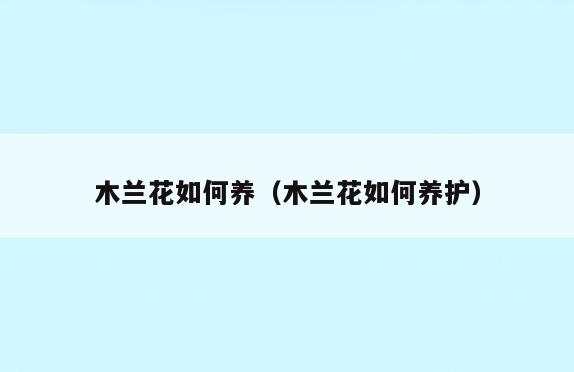 木兰花如何养(木兰花如何养护)