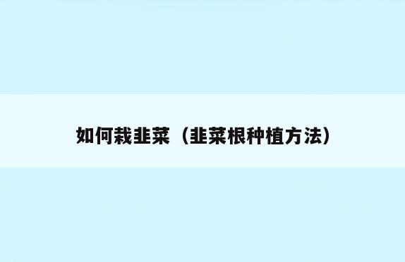 如何栽韭菜(韭菜根种植方法)