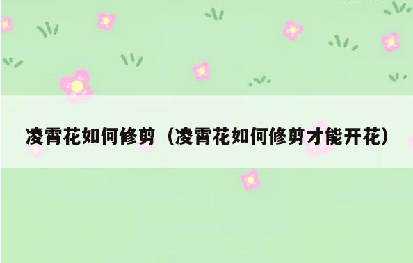 凌霄花如何修剪(凌霄花如何修剪才能开花)