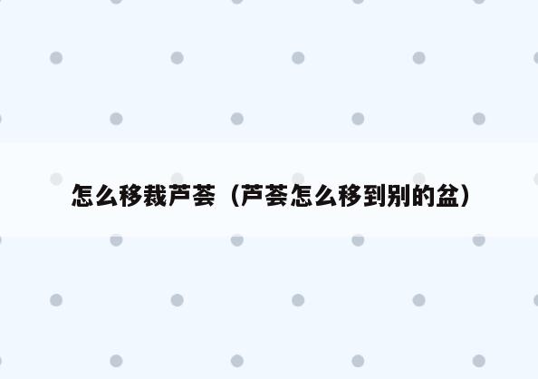 怎么移裁芦荟(芦荟怎么移到别的盆)