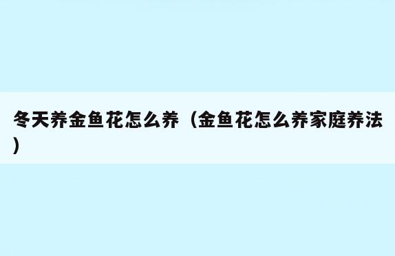 冬天养金鱼花怎么养(金鱼花怎么养家庭养法)