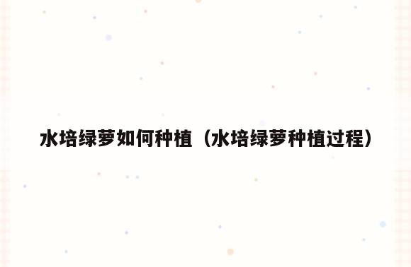 水培绿萝如何种植(水培绿萝种植过程)