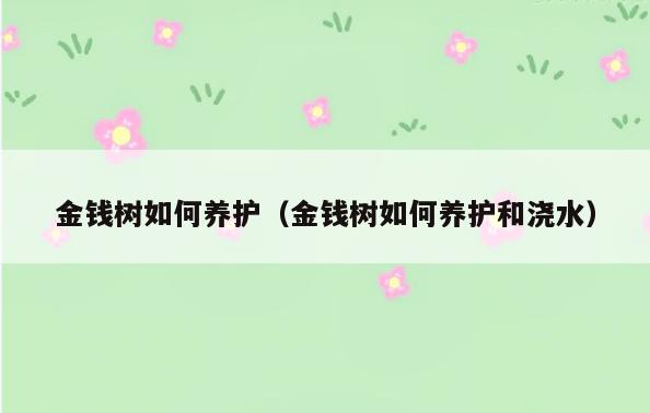 金钱树如何养护(金钱树如何养护和浇水)