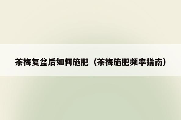 茶梅复盆后如何施肥(茶梅施肥频率指南)