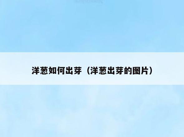 洋葱如何出芽(洋葱出芽的图片)