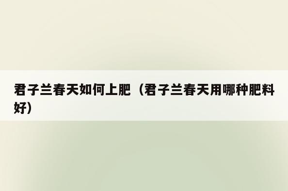 君子兰春天如何上肥(君子兰春天用哪种肥料好)