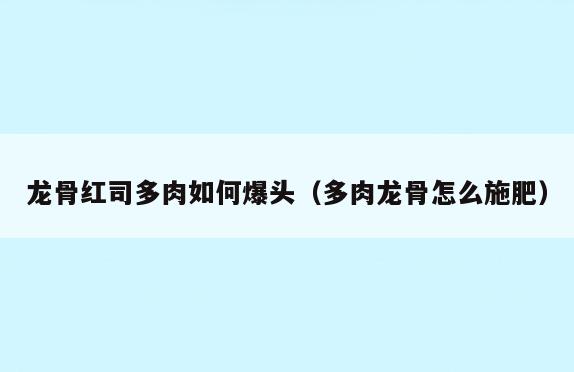 龙骨红司多肉如何爆头(多肉龙骨怎么施肥)