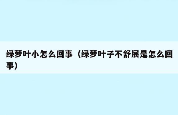 绿萝叶小怎么回事(绿萝叶子不舒展是怎么回事)