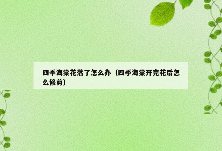 四季海棠花落了怎么办(四季海棠开完花后怎么修剪)