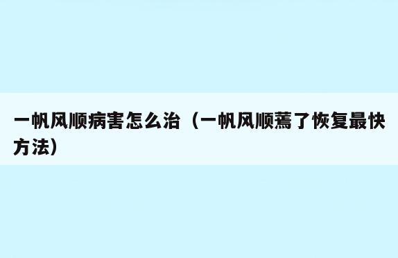 一帆风顺病害怎么治(一帆风顺蔫了恢复最快方法)