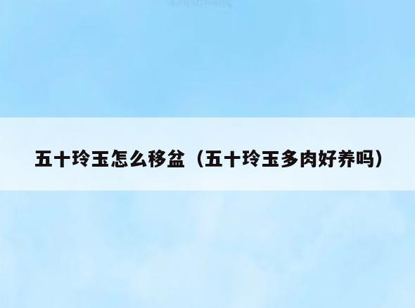 五十玲玉怎么移盆(五十玲玉多肉好养吗)