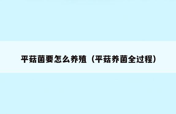 平菇菌要怎么养殖(平菇养菌全过程)
