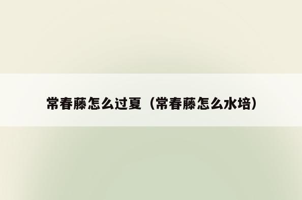常春藤怎么过夏(常春藤怎么水培)