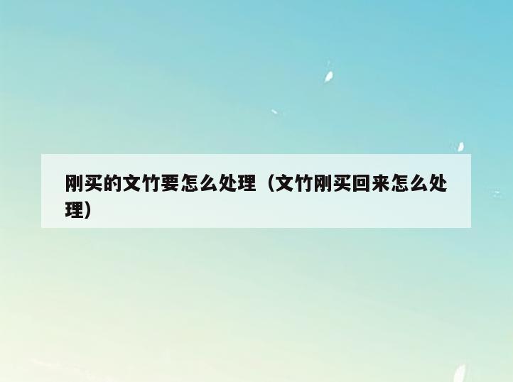 刚买的文竹要怎么处理(文竹刚买回来怎么处理)