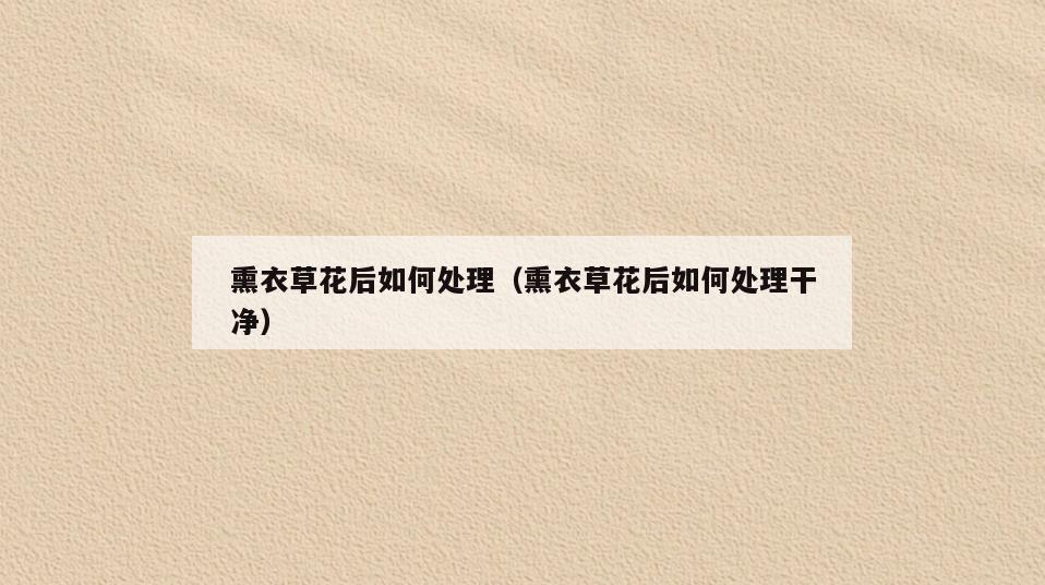 熏衣草花后如何处理(熏衣草花后如何处理干净)