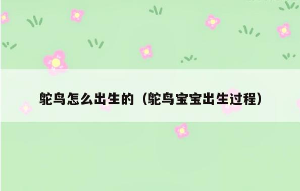 鸵鸟怎么出生的(鸵鸟宝宝出生过程)