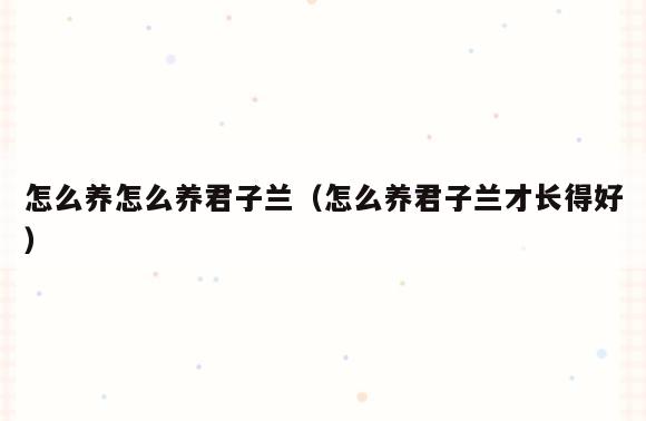 怎么养怎么养君子兰(怎么养君子兰才长得好)
