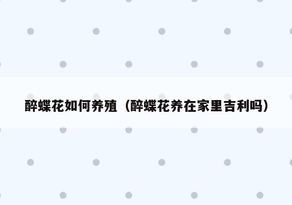 醉蝶花如何养殖(醉蝶花养在家里吉利吗)