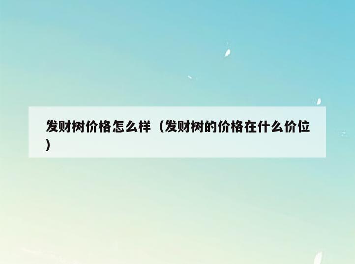 发财树价格怎么样(发财树的价格在什么价位)