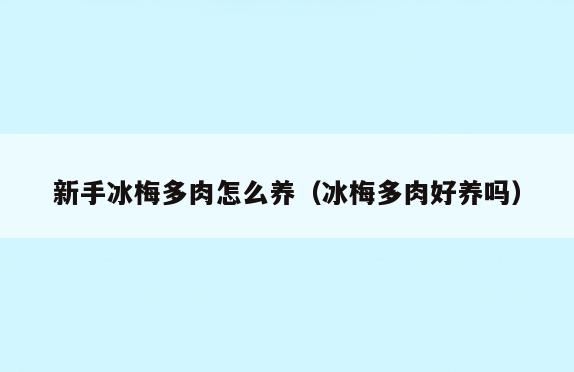 新手冰梅多肉怎么养(冰梅多肉好养吗)