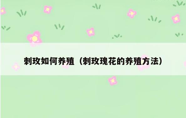 刺玫如何养殖(刺玫瑰花的养殖方法)