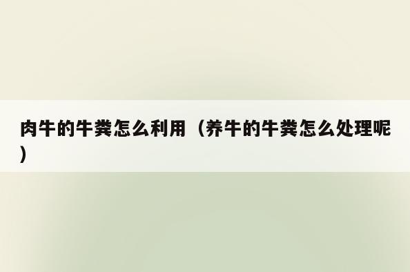 肉牛的牛粪怎么利用(养牛的牛粪怎么处理呢)