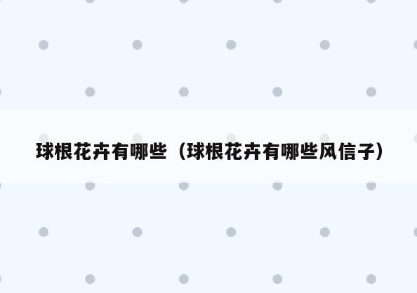 球根花卉有哪些(球根花卉有哪些风信子)