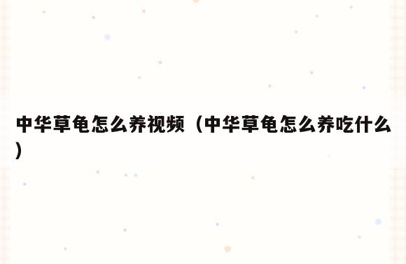 中华草龟怎么养视频(中华草龟怎么养吃什么)