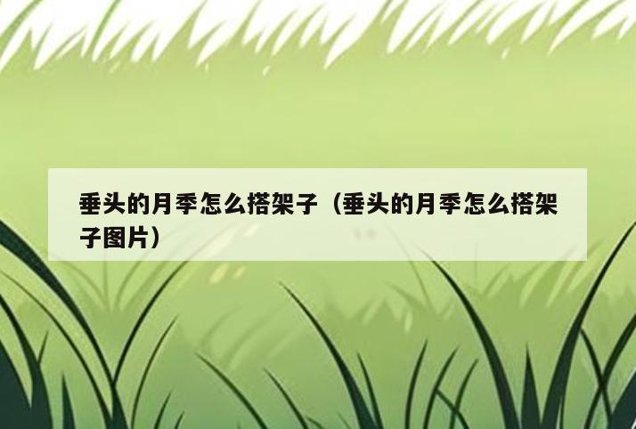 垂头的月季怎么搭架子(垂头的月季怎么搭架子图片)