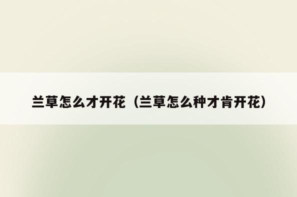兰草怎么才开花(兰草怎么种才肯开花)